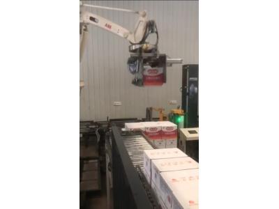 紙箱搬運碼垛機(jī)器人抓手-桁架機(jī)械手抓手設(shè)計定制生產(chǎn)